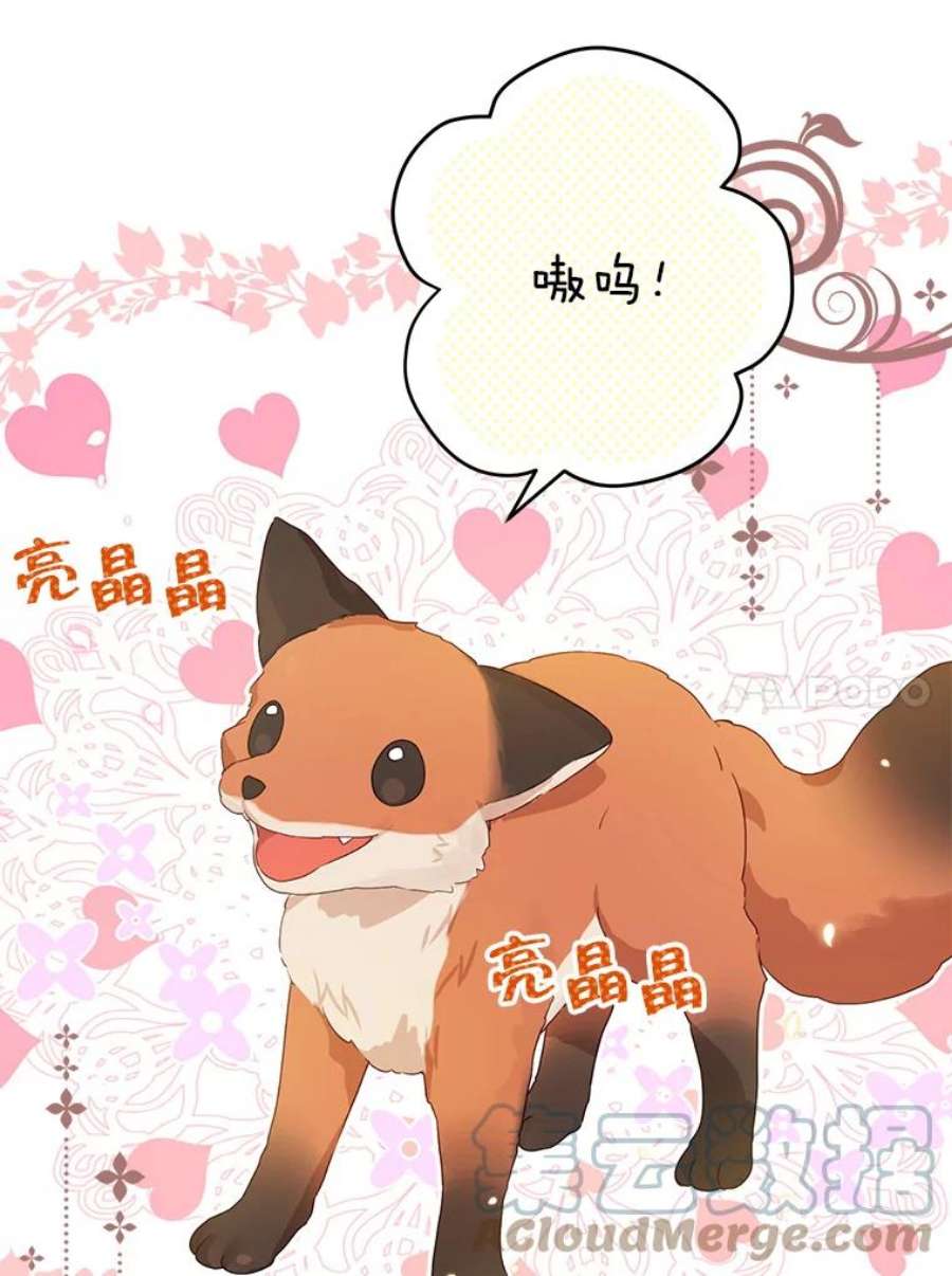 真与假的精灵师少女69.一石二鸟