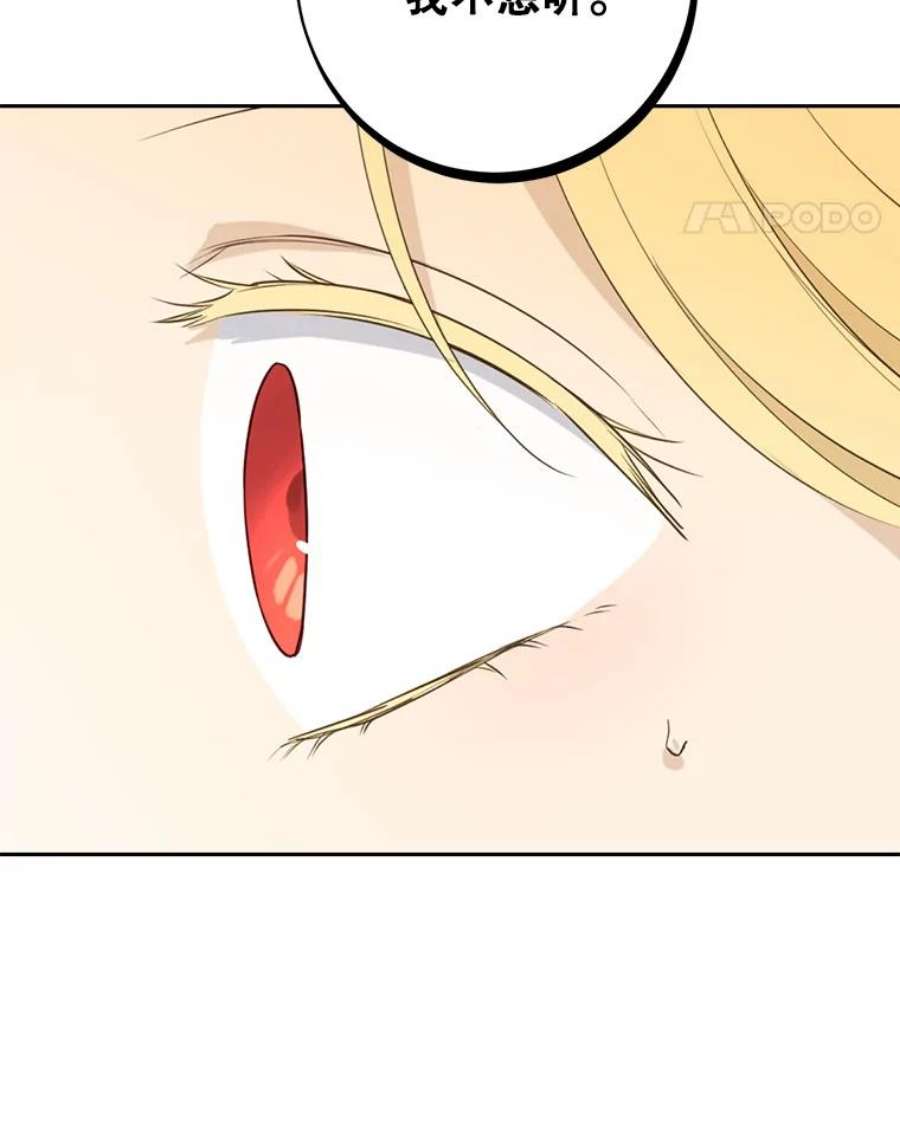 真与假的精灵师少女70.加油，副团长！