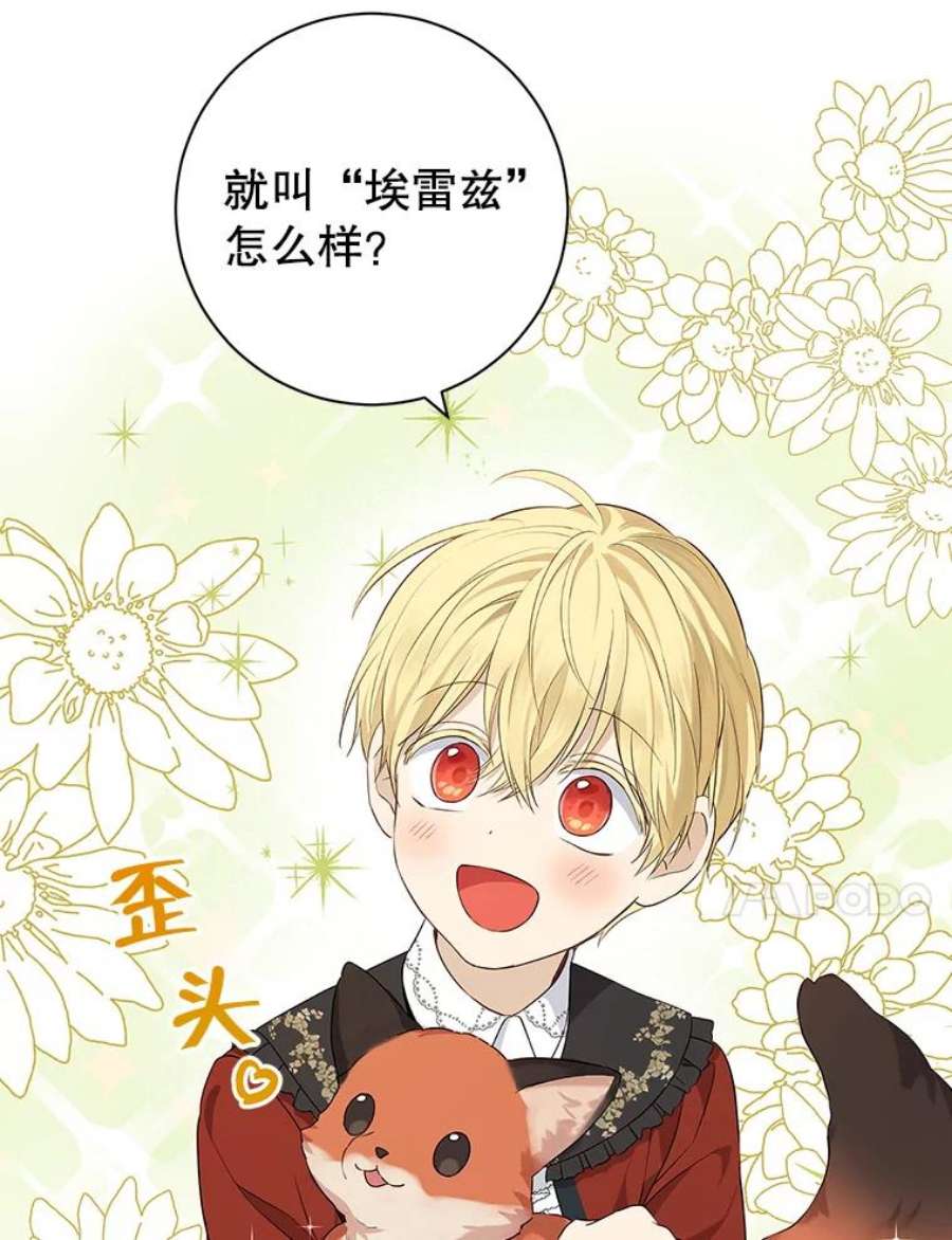 真与假的精灵师少女70.加油，副团长！