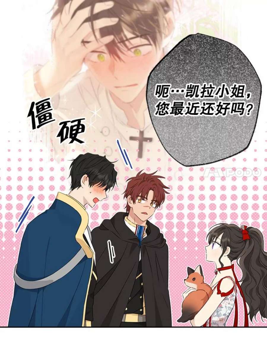 真与假的精灵师少女70.加油，副团长！