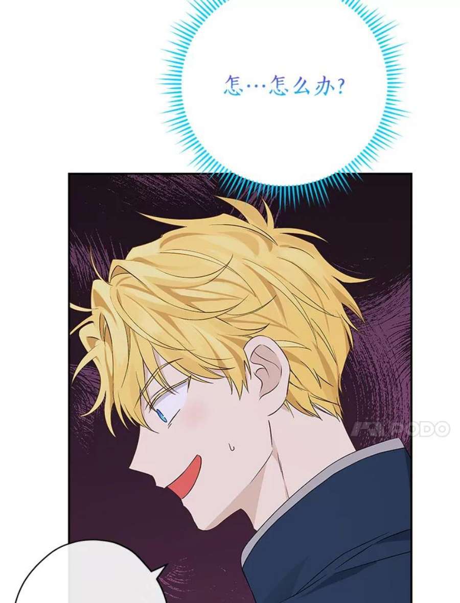 真与假的精灵师少女74.安慰