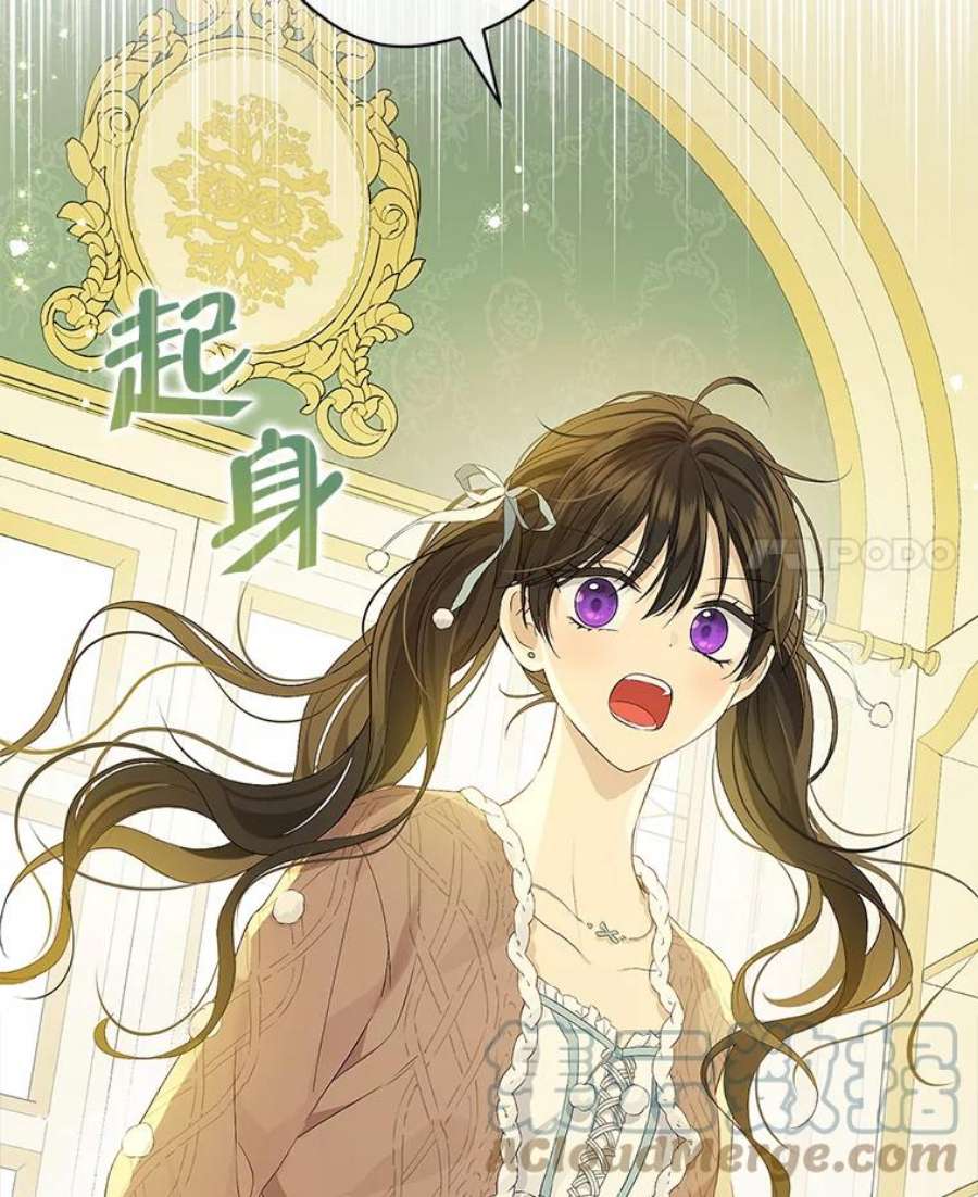 真与假的精灵师少女76.寻找答案