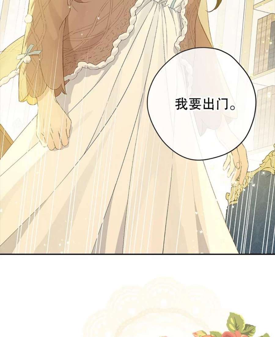 真与假的精灵师少女76.寻找答案