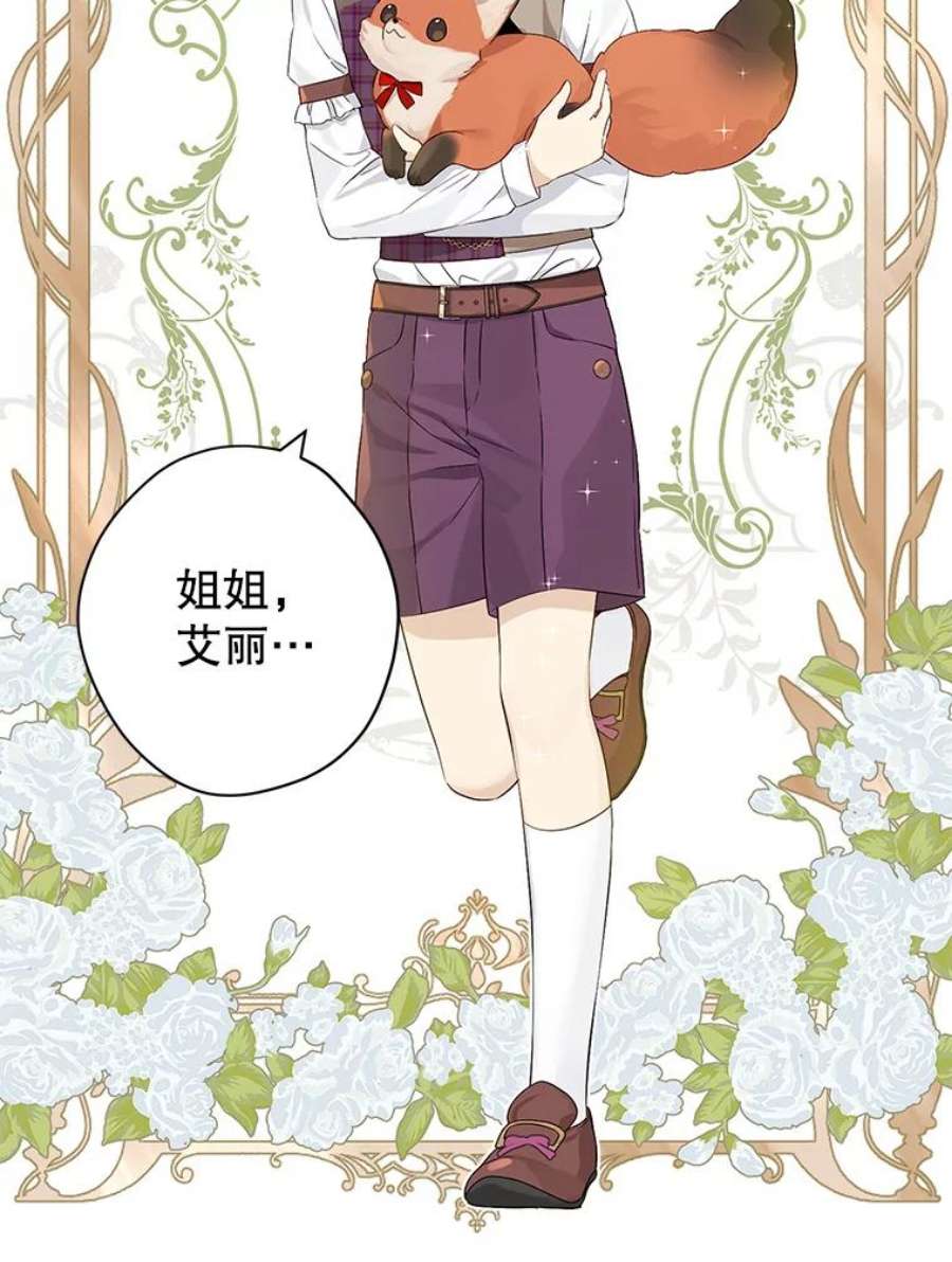 真与假的精灵师少女76.寻找答案