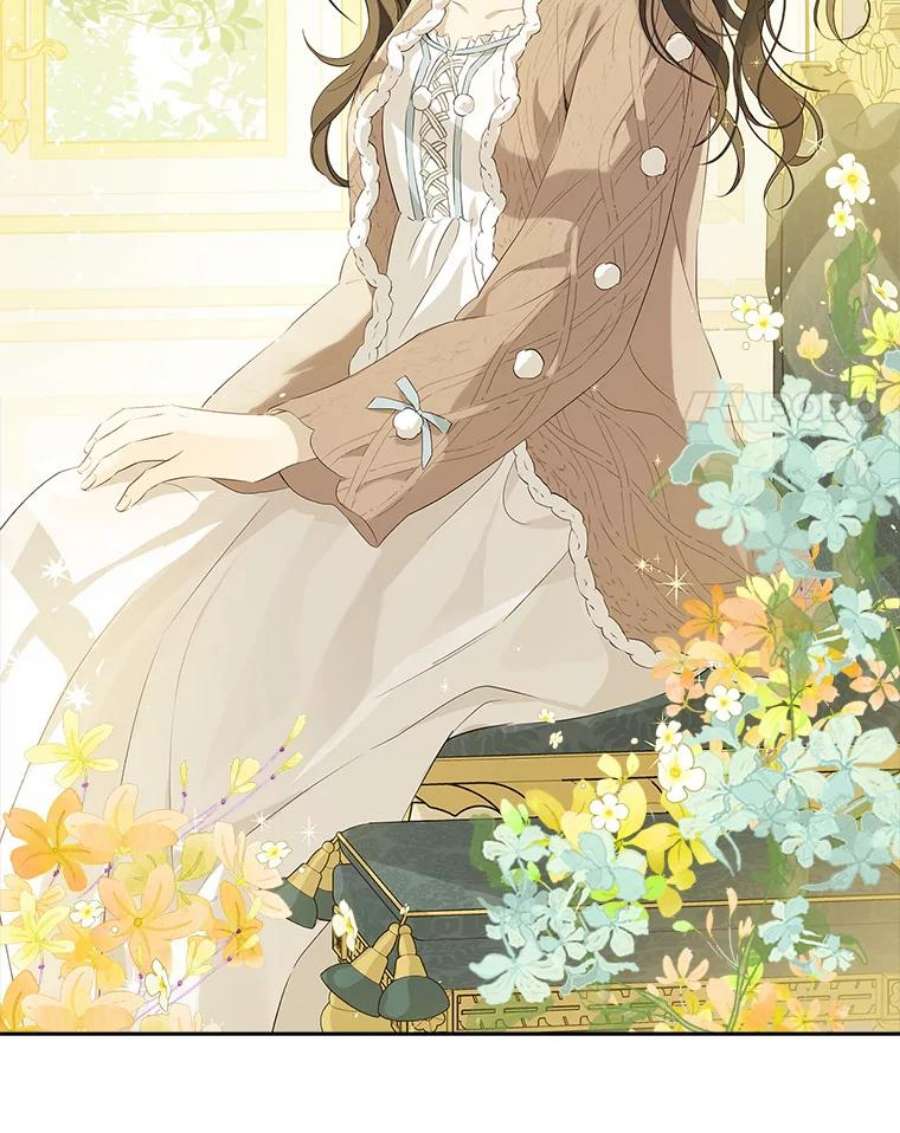 真与假的精灵师少女76.寻找答案