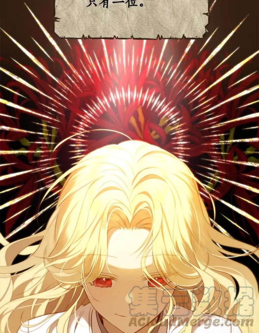 真与假的精灵师少女76.寻找答案