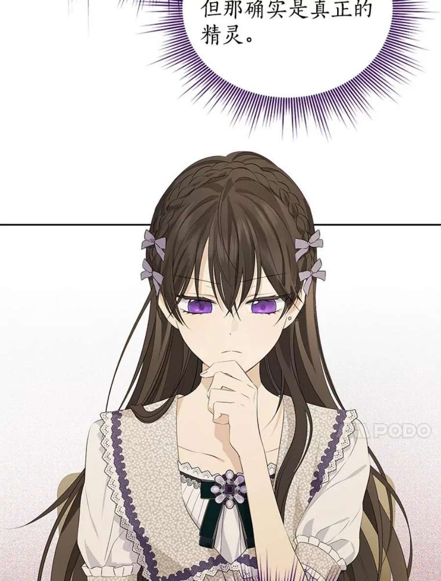 真与假的精灵师少女76.寻找答案