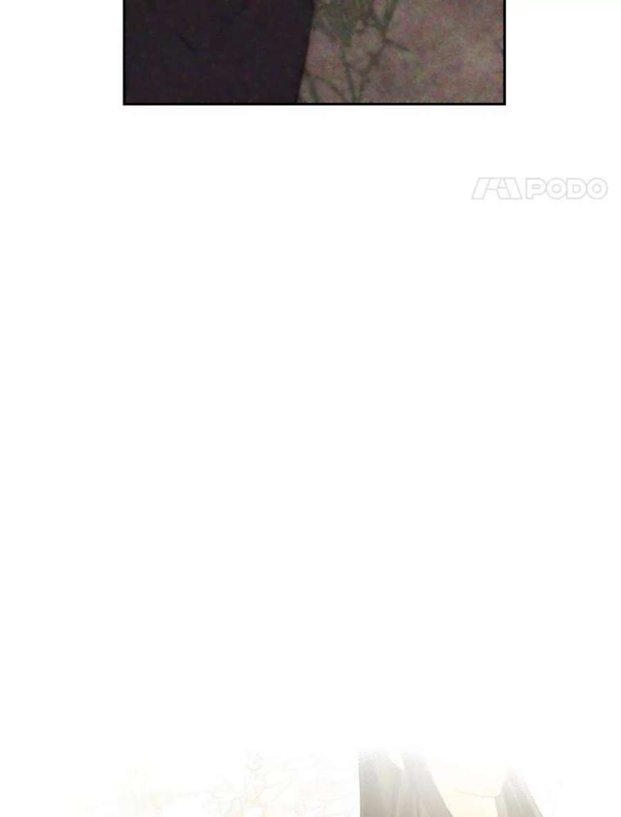 真与假的精灵师少女76.寻找答案