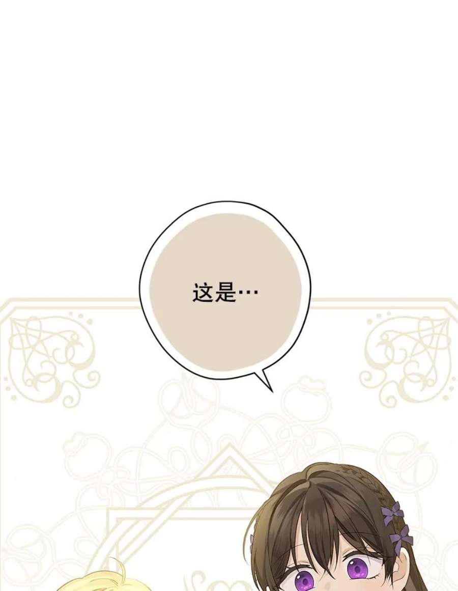 真与假的精灵师少女76.寻找答案