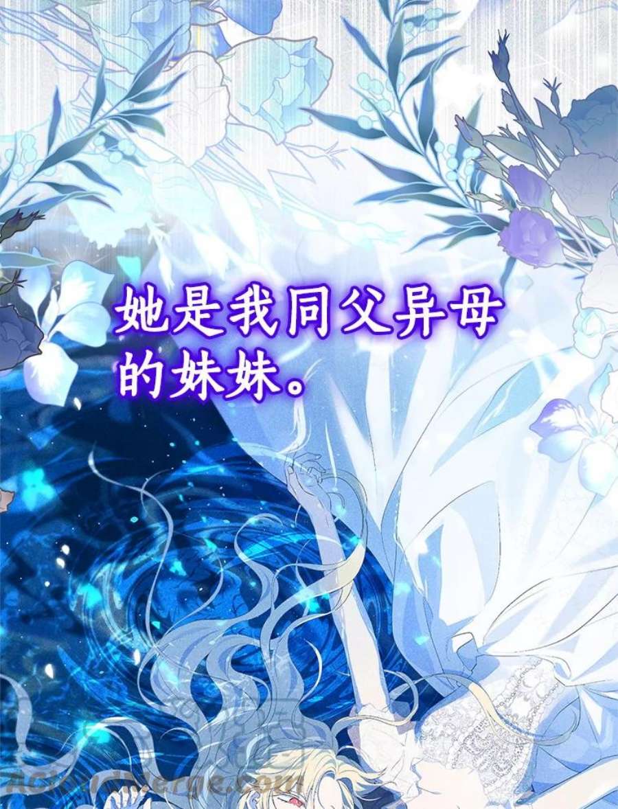 真与假的精灵师少女78.探寻真相