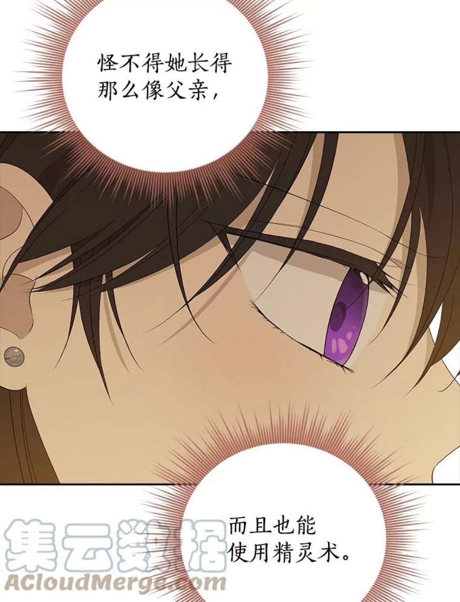 真与假的精灵师少女78.探寻真相