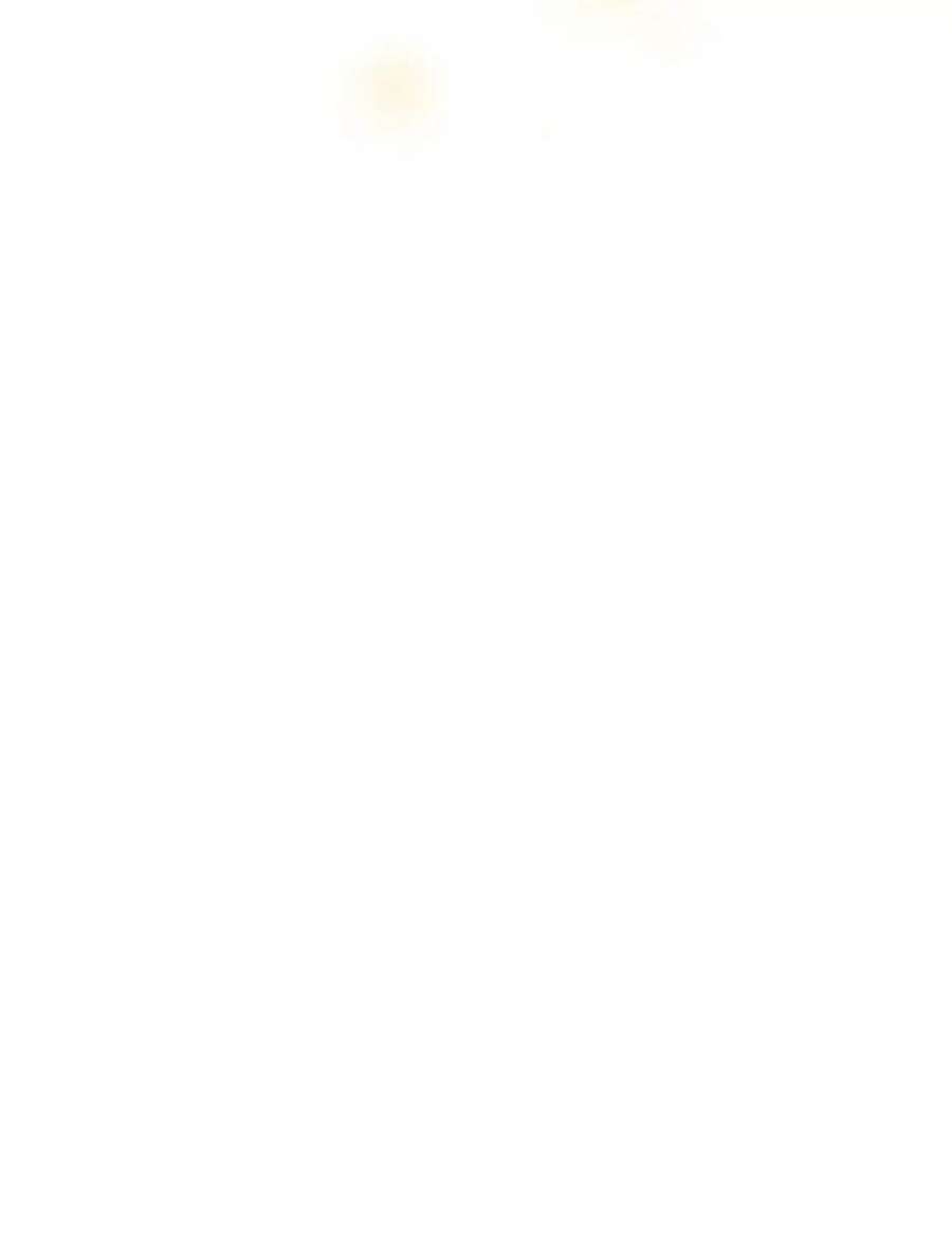 真与假的精灵师少女78.探寻真相