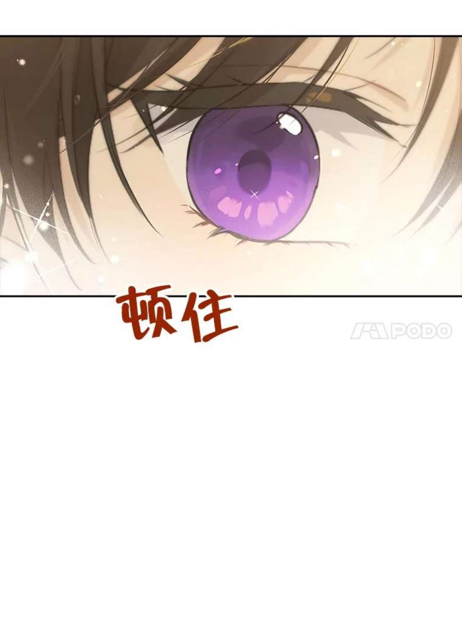 真与假的精灵师少女78.探寻真相