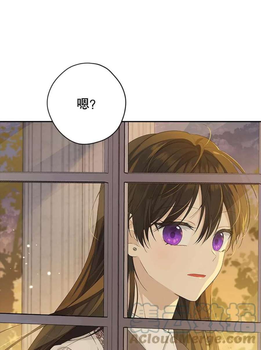 真与假的精灵师少女78.探寻真相