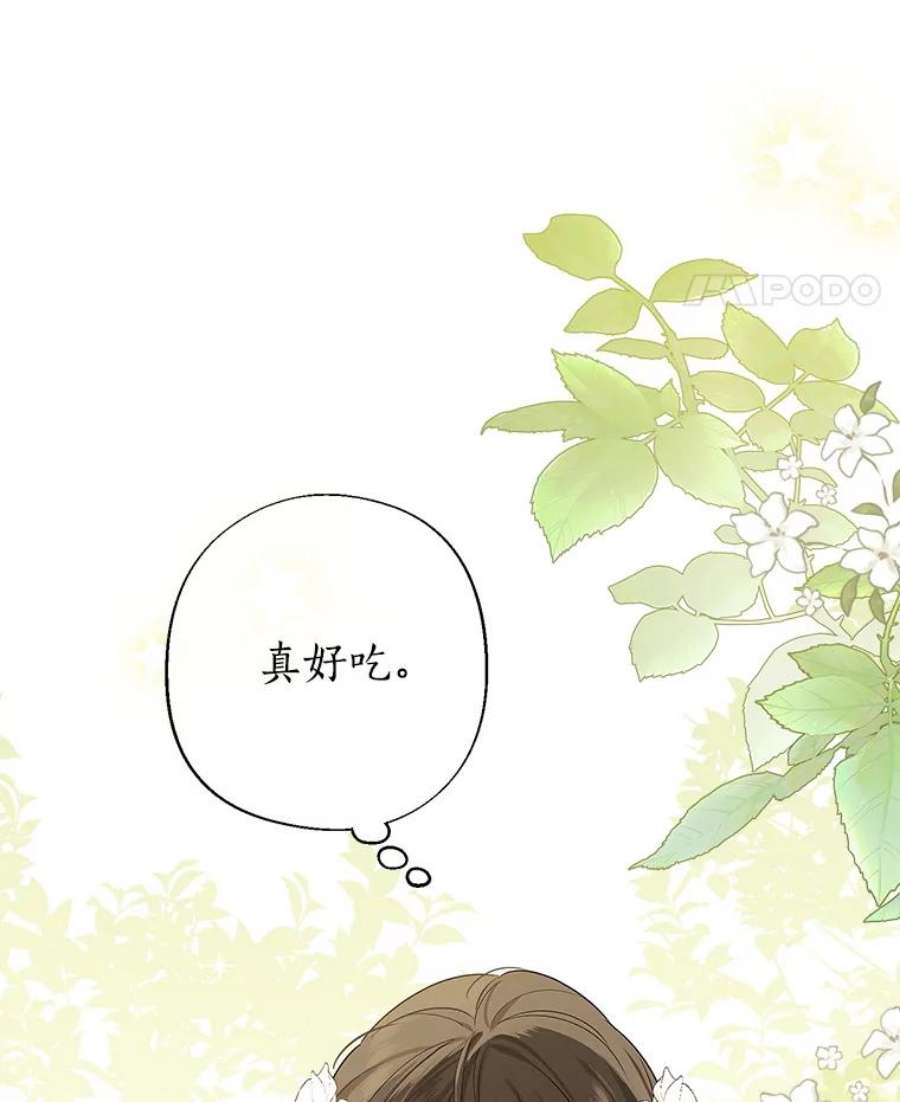 真与假的精灵师少女79.郊游会