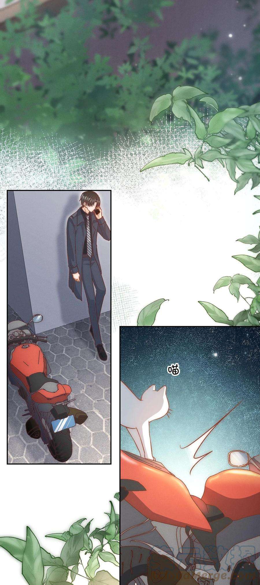 逆光指引023 见不见面