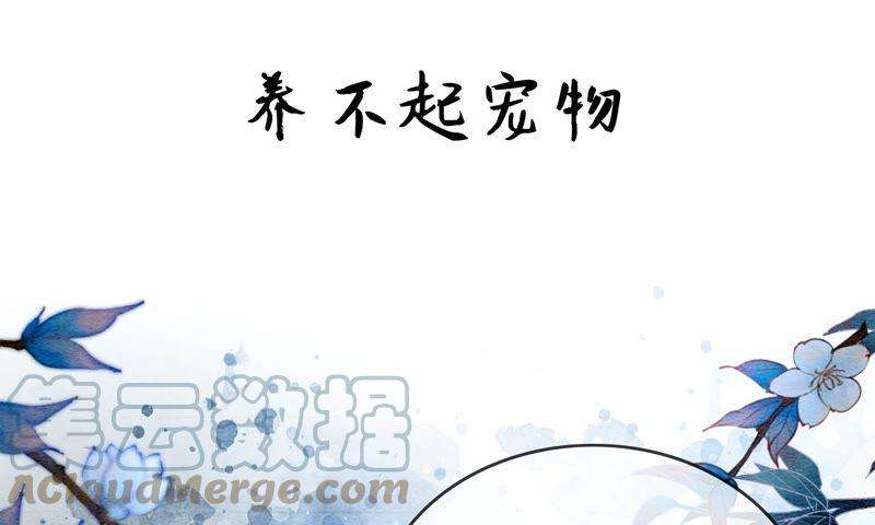 朝堂有妖气预告