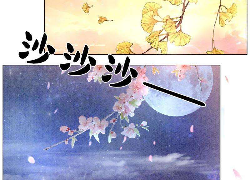朝堂有妖气5话 猫科动物的领地意识