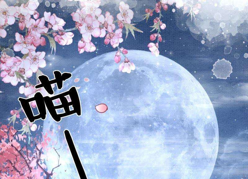 朝堂有妖气5话 猫科动物的领地意识