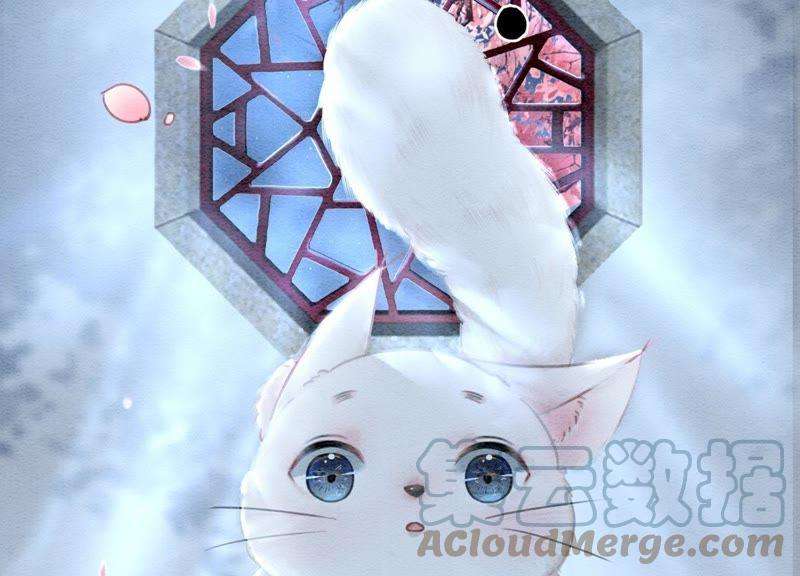 朝堂有妖气5话 猫科动物的领地意识