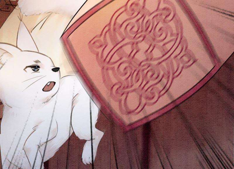 朝堂有妖气5话 猫科动物的领地意识