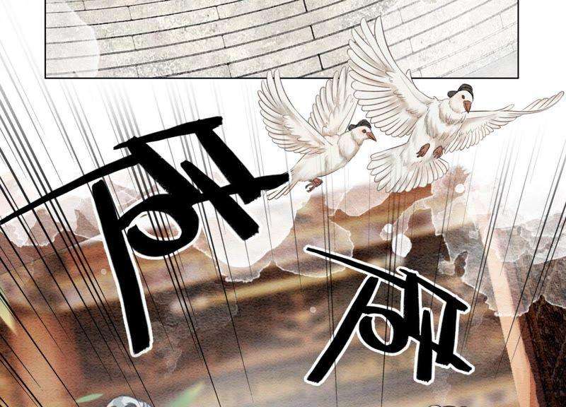 朝堂有妖气5话 猫科动物的领地意识