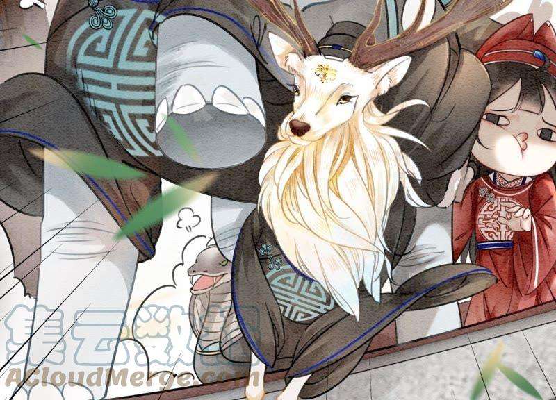 朝堂有妖气5话 猫科动物的领地意识