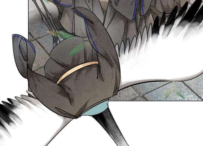 朝堂有妖气5话 猫科动物的领地意识