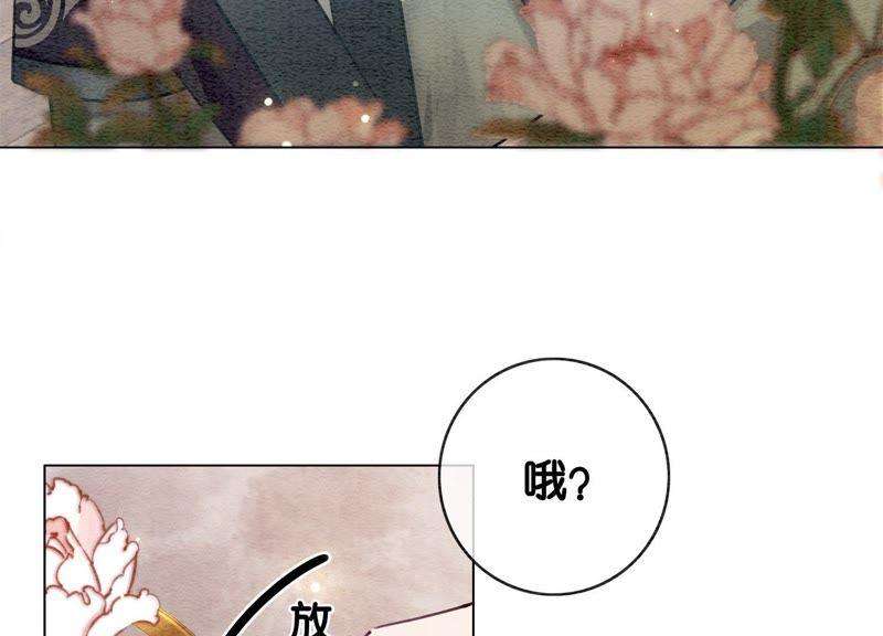 朝堂有妖气5话 猫科动物的领地意识