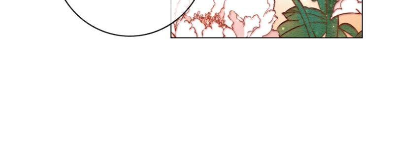 朝堂有妖气5话 猫科动物的领地意识