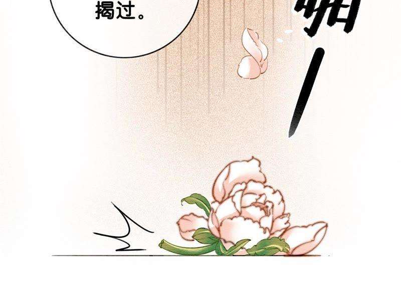 朝堂有妖气5话 猫科动物的领地意识