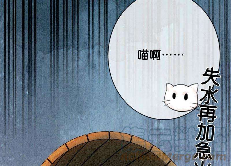 朝堂有妖气6话 猫是鱼的天敌