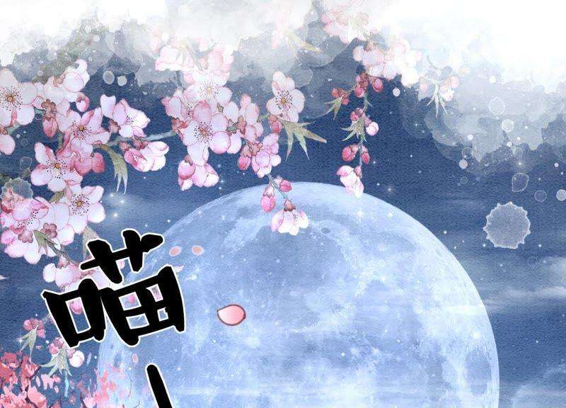 朝堂有妖气6话 猫是鱼的天敌
