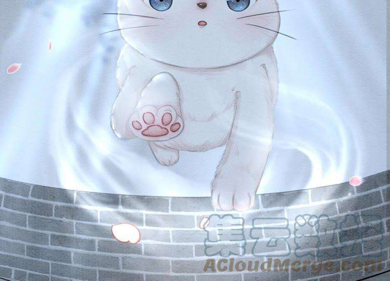 朝堂有妖气6话 猫是鱼的天敌