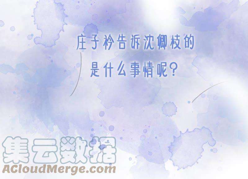 朝堂有妖气6话 猫是鱼的天敌