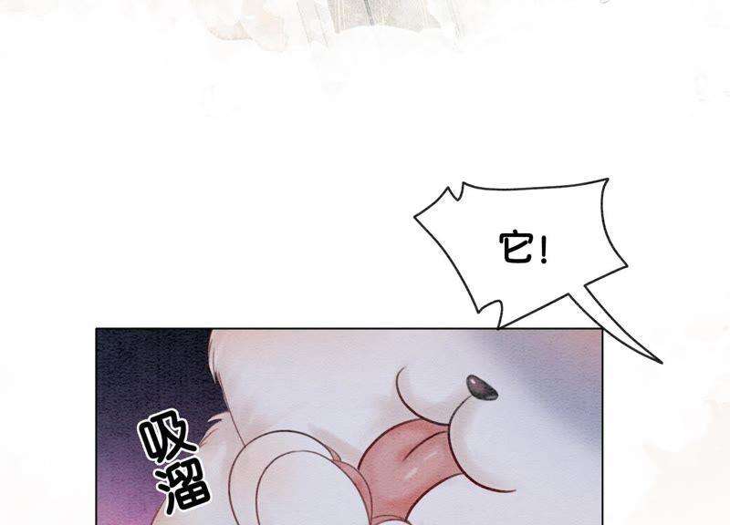 朝堂有妖气6话 猫是鱼的天敌