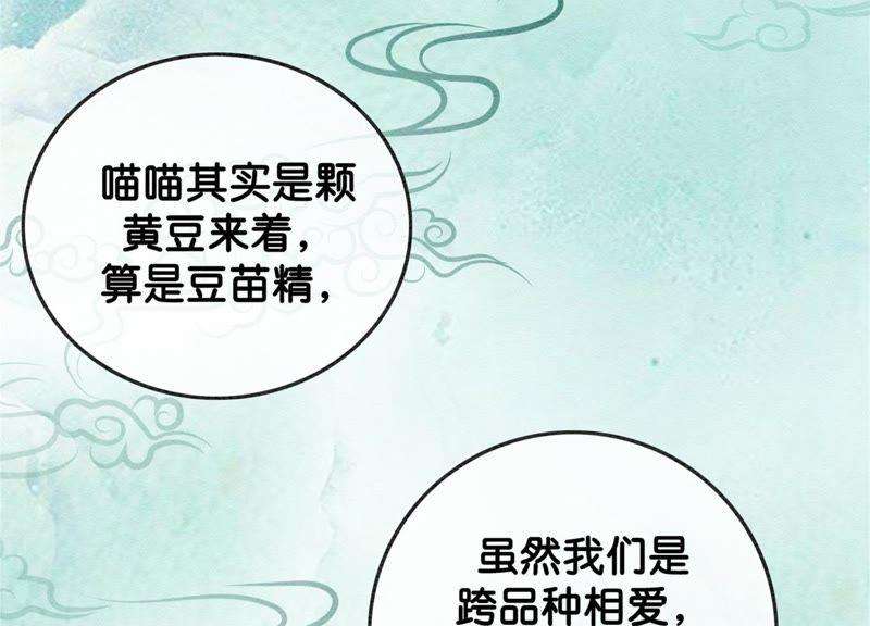 朝堂有妖气22话 陈苗的夫人