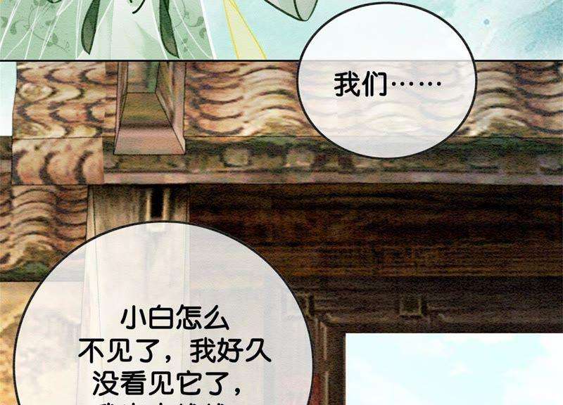 朝堂有妖气22话 陈苗的夫人