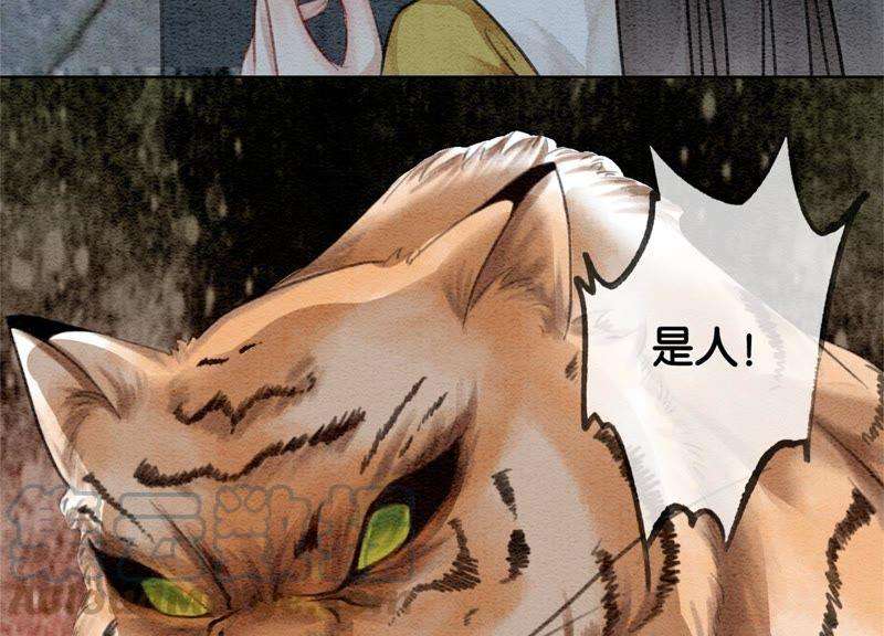 朝堂有妖气22话 陈苗的夫人