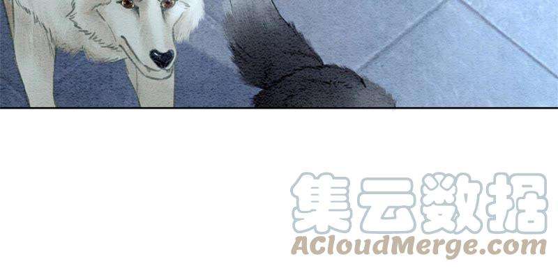 朝堂有妖气24话 心口的灵珠