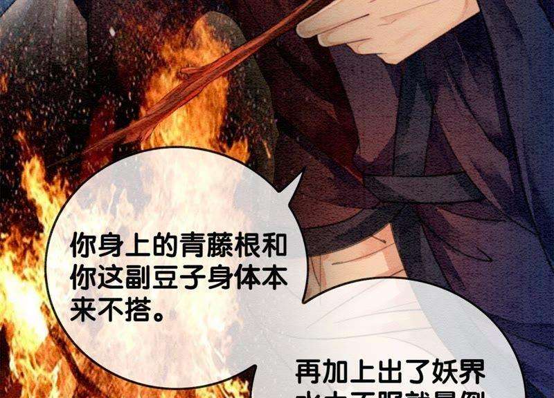 朝堂有妖气24话 心口的灵珠