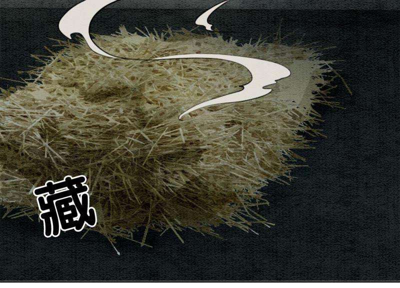 朝堂有妖气30话 专业碰瓷