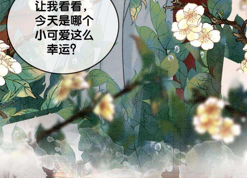 朝堂有妖气30话 专业碰瓷