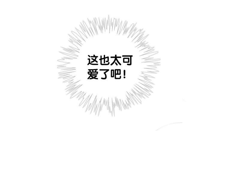 朝堂有妖气38话 顾公子的粉丝福利