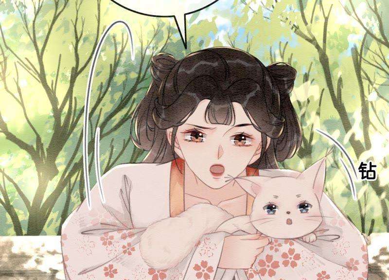 朝堂有妖气38话 顾公子的粉丝福利