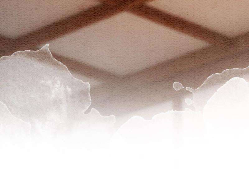 朝堂有妖气63话 枝枝面临艰难选择