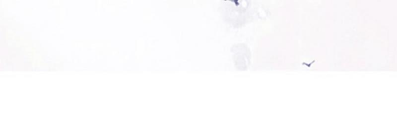 朝堂有妖气67话 庄子衿救妻