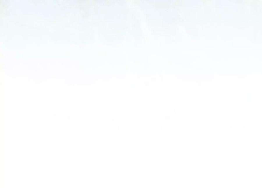 朝堂有妖气141话 新嫁娘