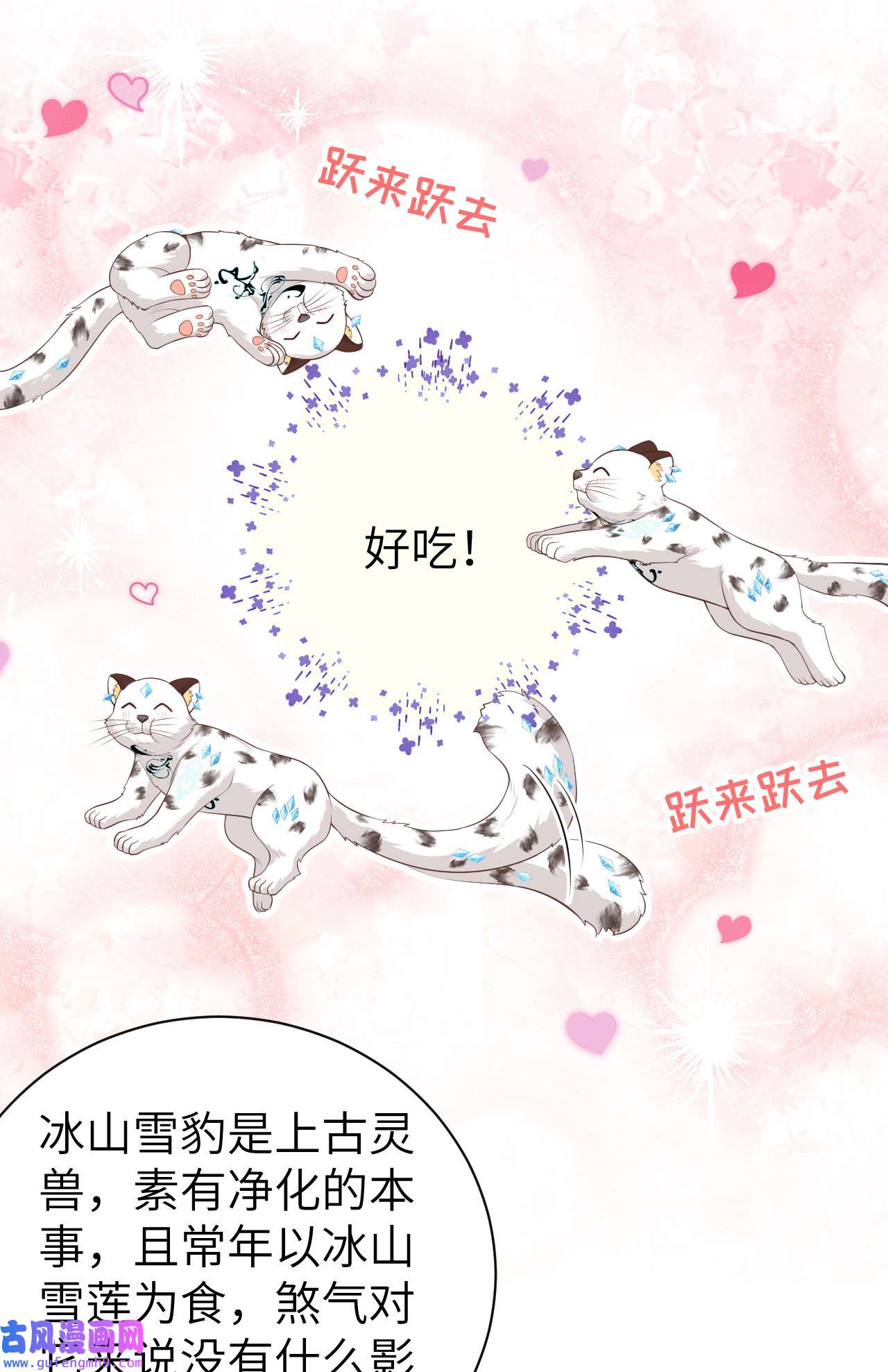 修真奶爸惹不起095 婚礼之约