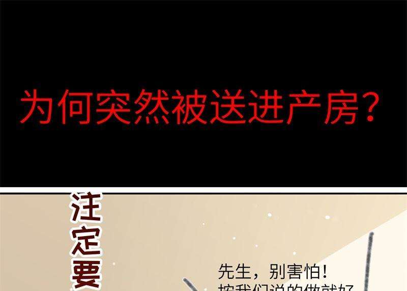 修真奶爸惹不起预告